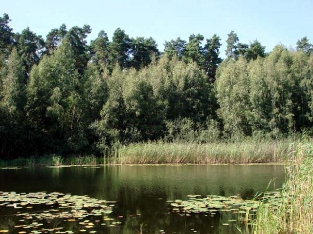 Bild: Biegener Helle