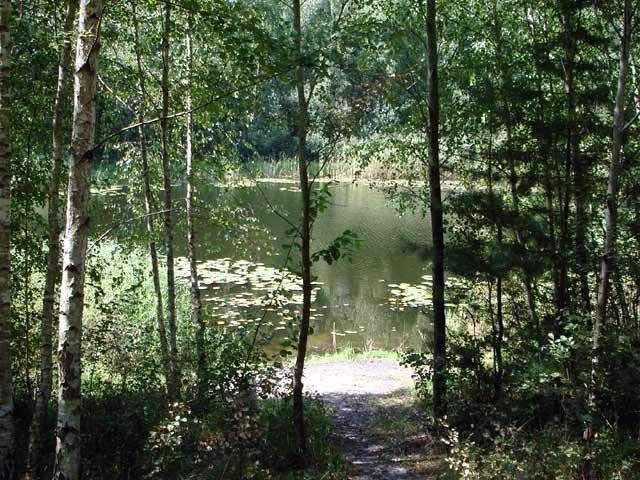Bild: Biegener Helle