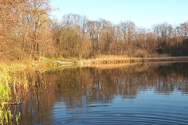 Bild: Fauler See
