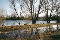 Bild: Großer Kliestower See