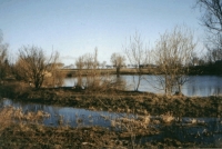 Bild: Großer Kliestower See