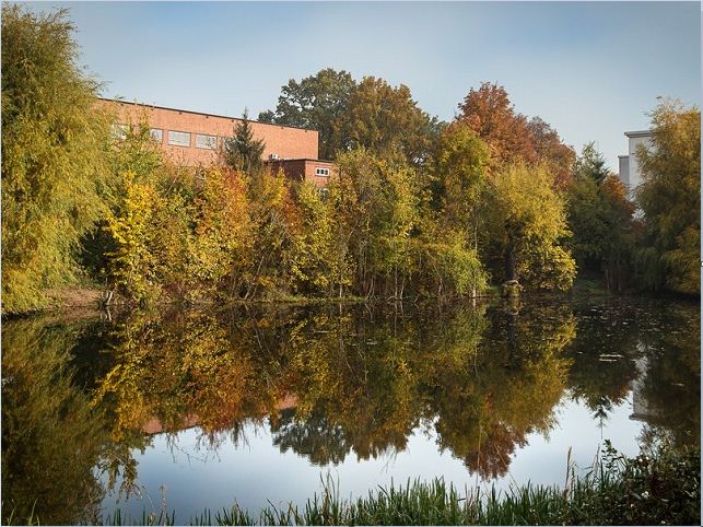 Bild: Puschkinteich