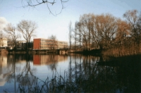 Bild: Schwänchenteich