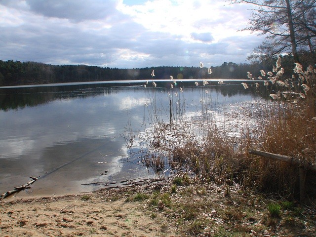 Bild: Biegener Helle